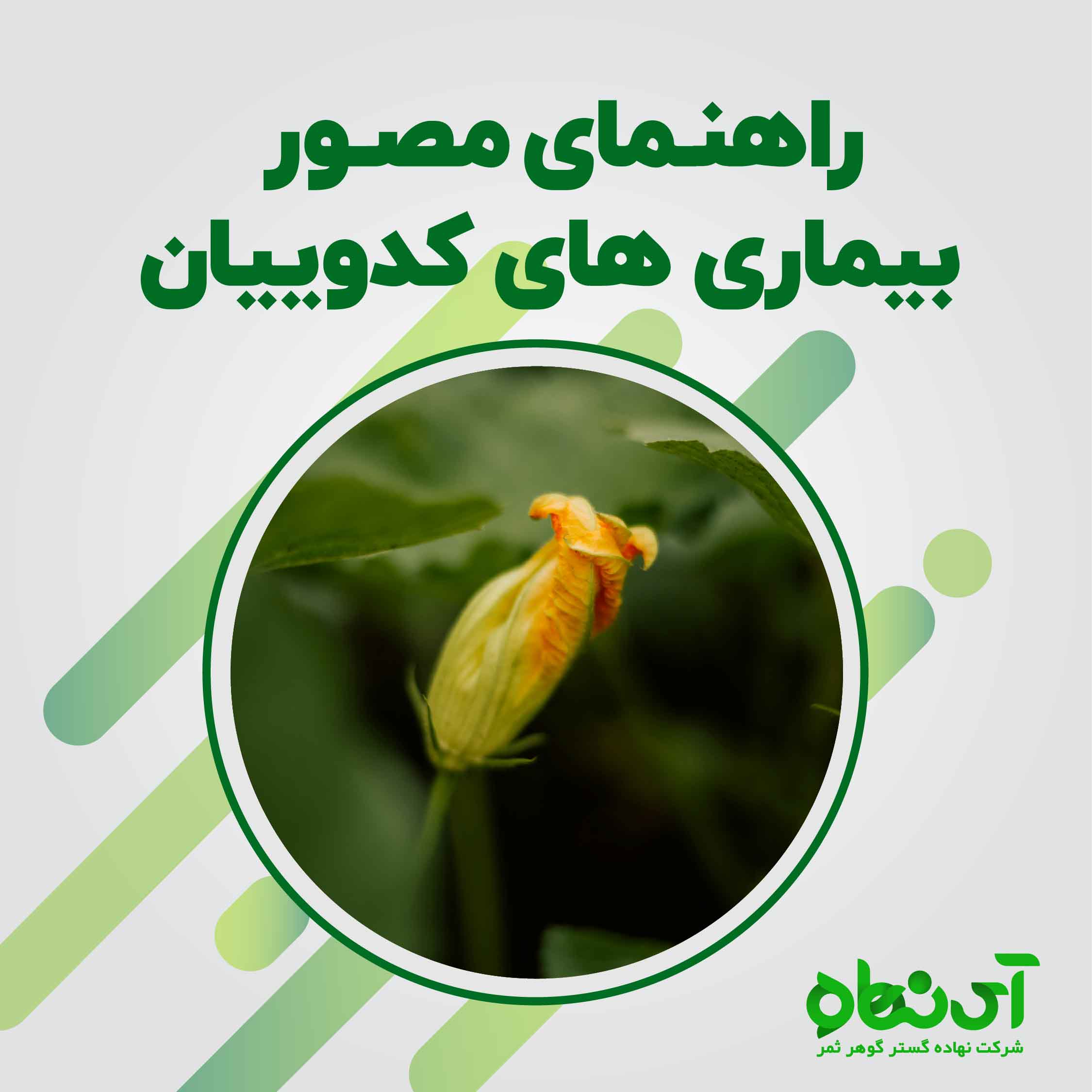 راهنمای مصور بیماری های کدوییان